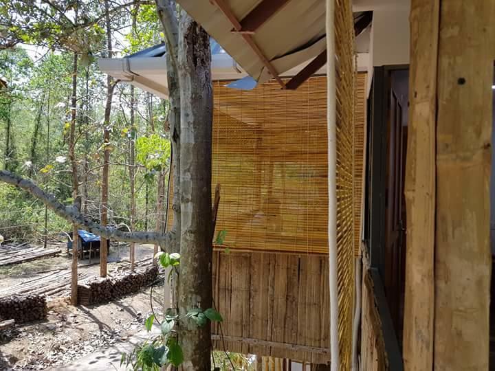 Ponmudi Valley Resorts Ponmudi (Thiruvananthapuram) Ngoại thất bức ảnh