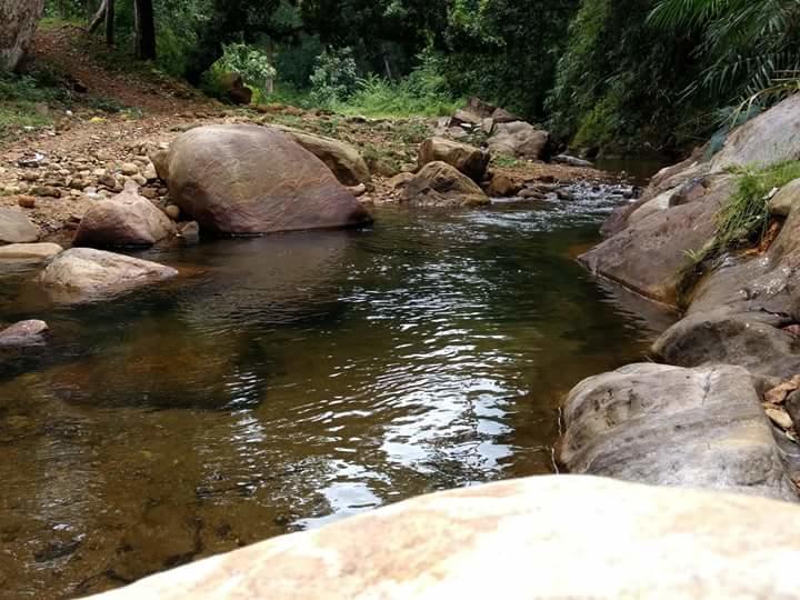 Ponmudi Valley Resorts Ponmudi (Thiruvananthapuram) Ngoại thất bức ảnh